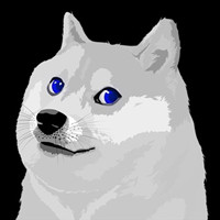 Blue Eyes White Doge