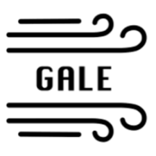 Gale Network