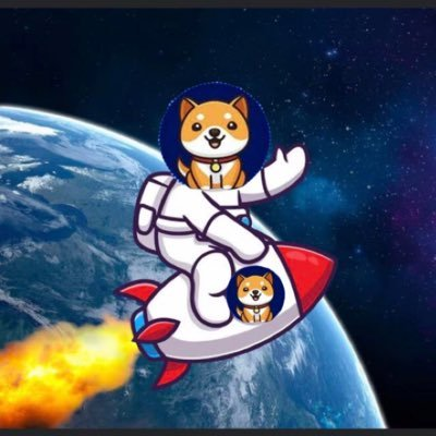 Starship Doge